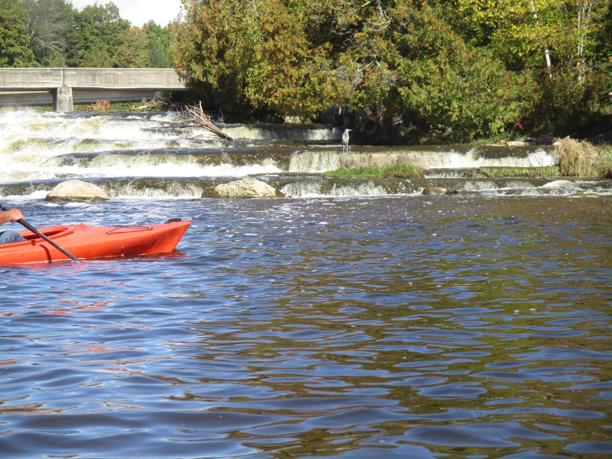 Sauble River Marina And Lodge Resort Сабъл Бийч Екстериор снимка